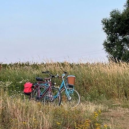 Lwb Ferienwohnung "Auszeit Im Denkmal" Wittenberg Екстериор снимка